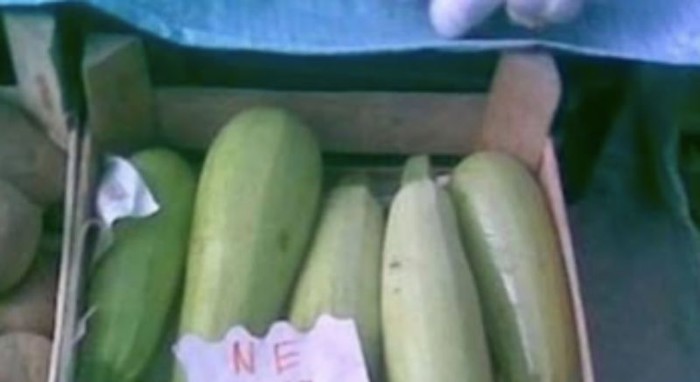 Kupce s tržnice nasmijao je natpis koji je prodavač postavio na tikvice, odmah ćete vidjeti zašto