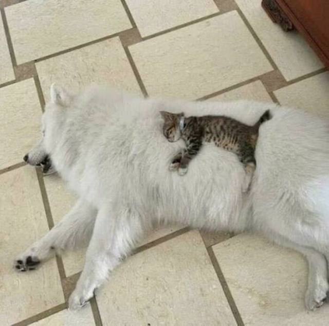 5.