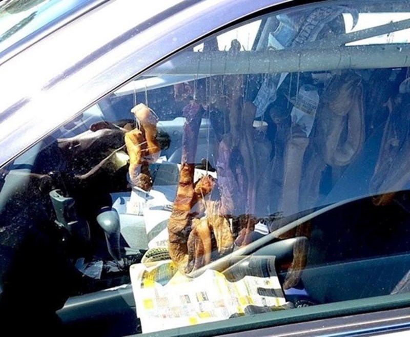 11. Netko suši meso u automobilu