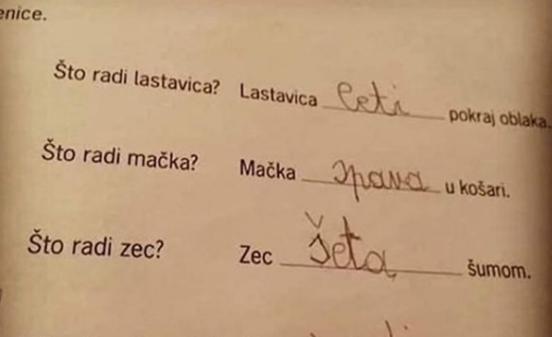 Učenik je odgovorom na pitanje iz školskog zadatka nasmijao cijelu Hrvatsku. morate vidjeti ovaj hit