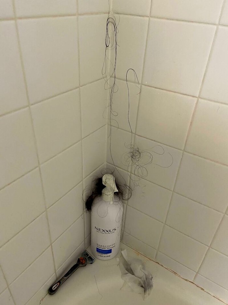 6. Moja cimerica je očito započela kolekciju.