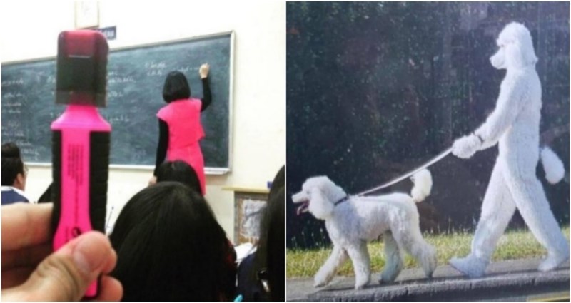 20+ bizarnih prizora u koje bi bilo teško povjerovati da nisu snimljeni