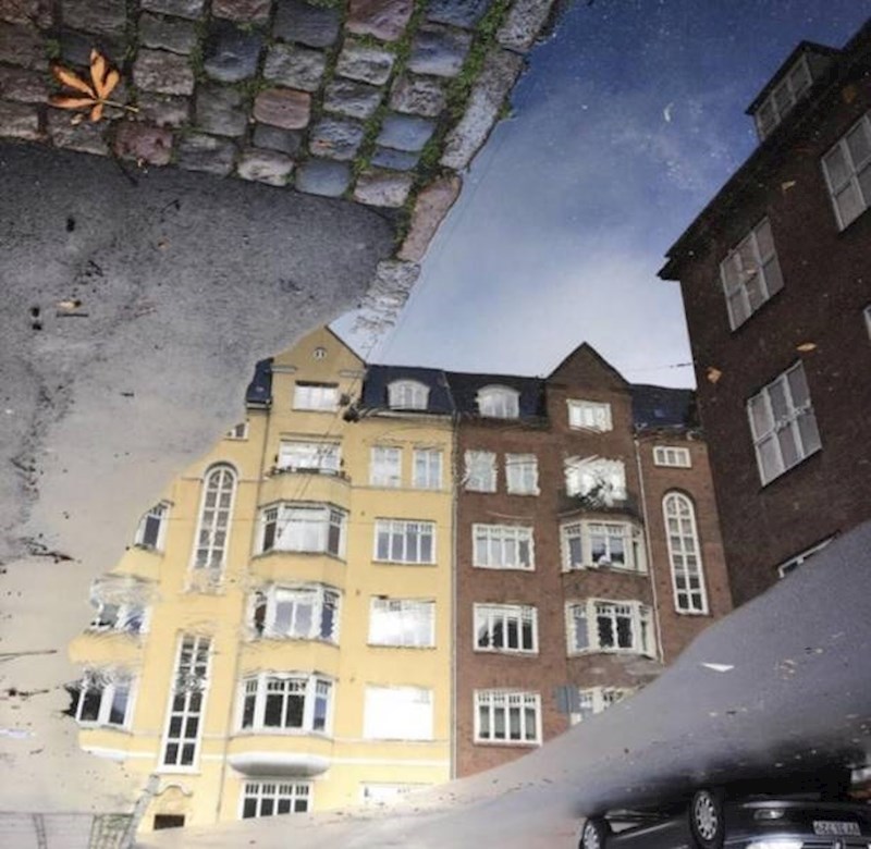 6. Refleksija zgrada u lokvi