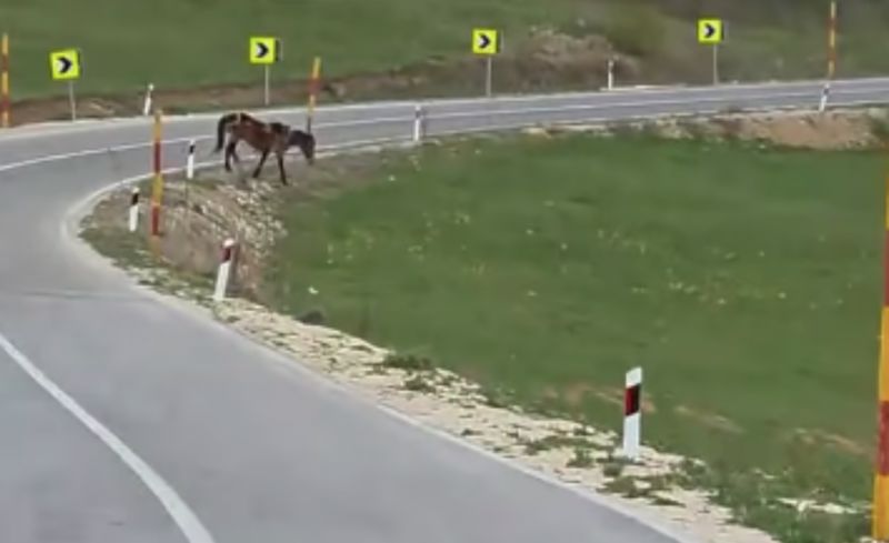 Cijeli Balkan smije se bizarnoj snimci iz Srbije, morate vidjeti što je tip uočio vozeći kroz selo