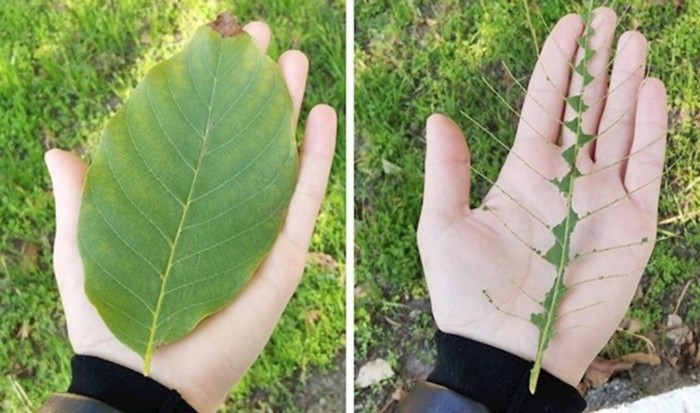 15 stvari koje smo obožavali raditi kao djeca, a neki od nas ih rade i danas