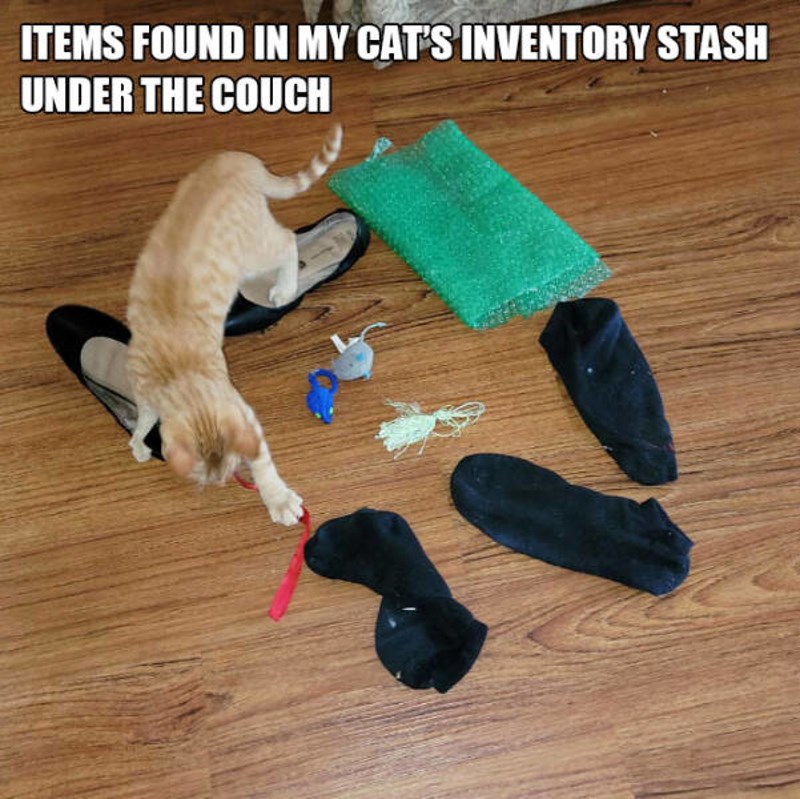 18. Ovo je sve naša maca pospremila ispod kauča