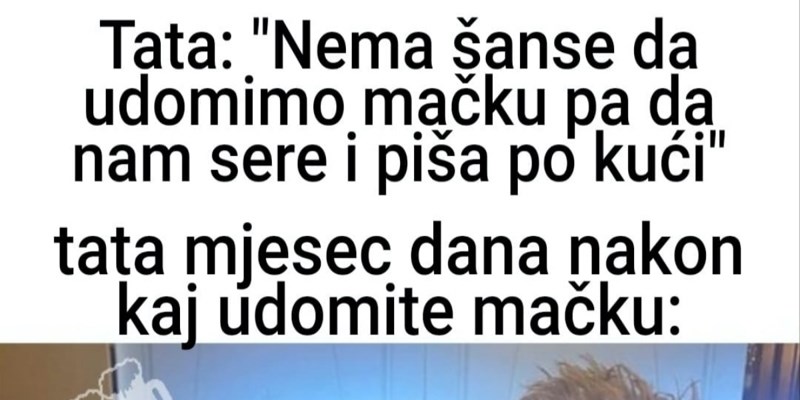Fora o muškarcima koji ne žele mačku u kući oduševila je tisuće na Fejsu, odmah ćete vidjeti zašto