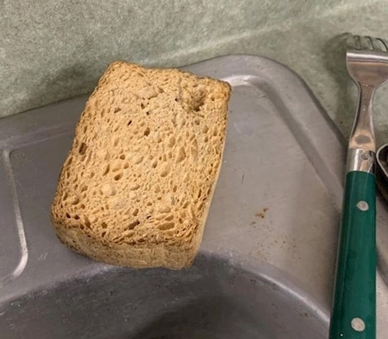 15. Zašto bi netko ovdje ostavio krišku kruha? Samo malo...pa to je spužva...