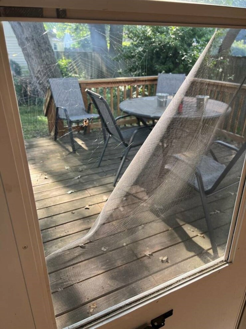 4. Pauk je popravio moja vrata 😄