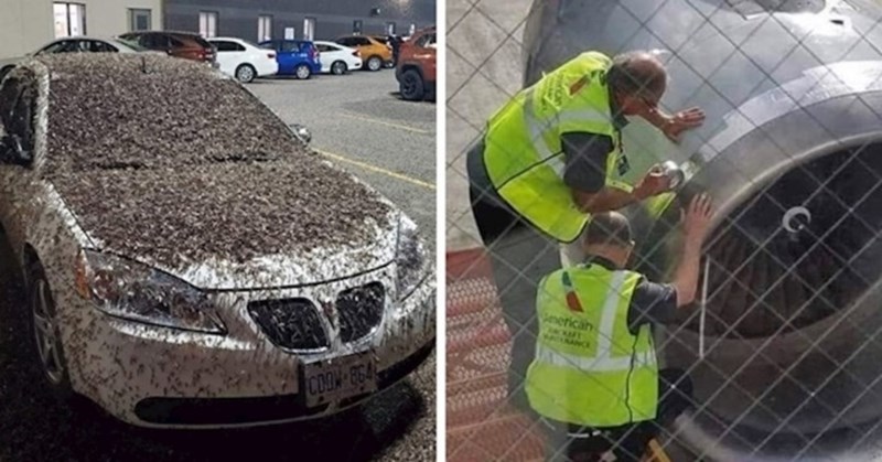 Ovih 17 ljudi neočekivano su naišli na bizarne prizore koji su ih uznemirili