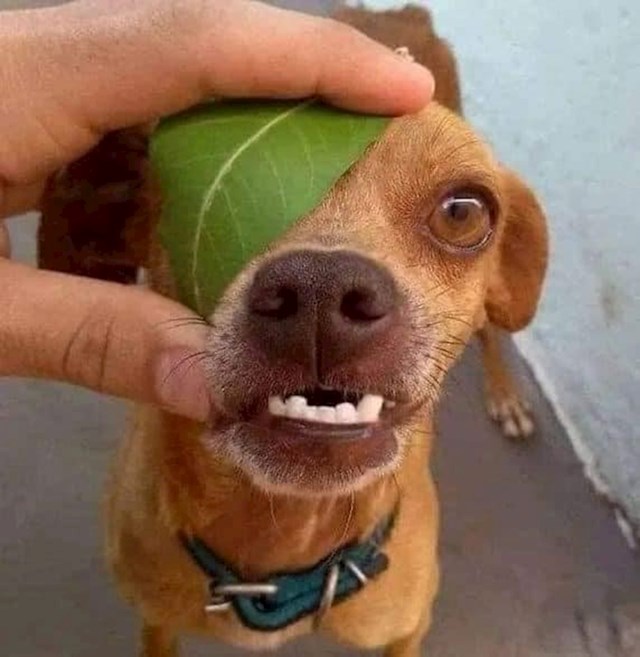 6.