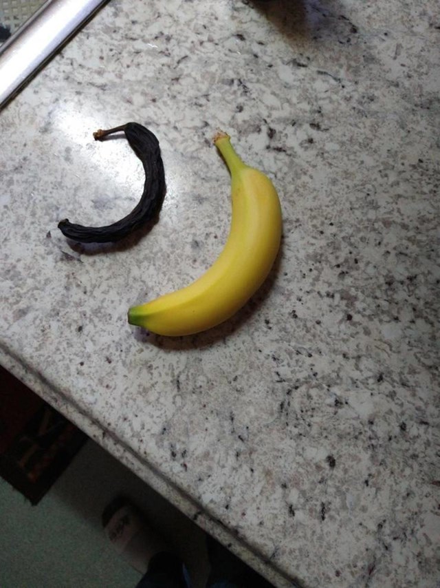 4. Banana stara 20 godina koju je moj tata pronašao u kaputu iz mladosti