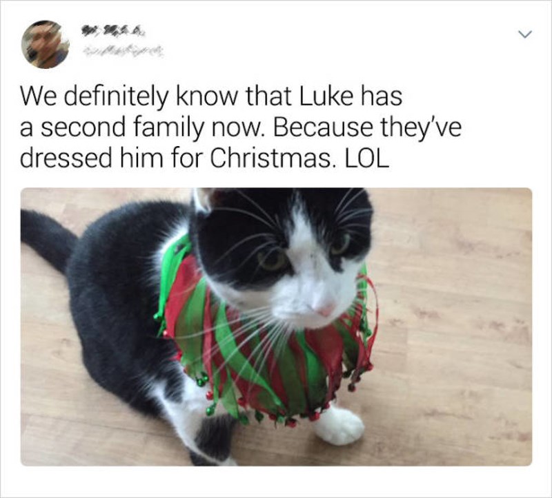 Već neko vrijeme sumnjamo da naš Luke ima još jednu obitelj, a sada smo sigurni, jer su ga uredili za Božić 😂