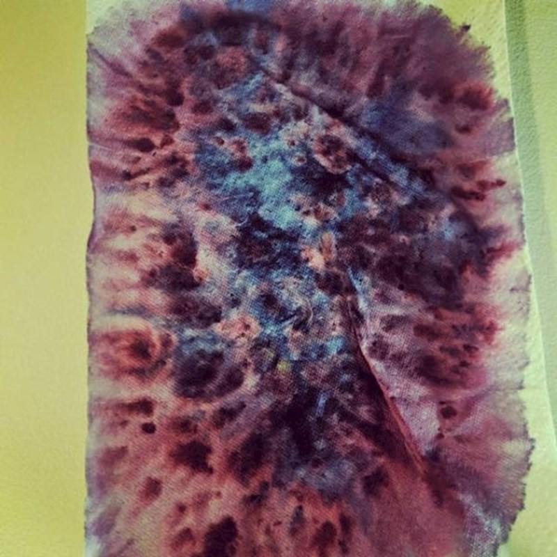 9. Kuhinjski ubrus nakon sušenja opranih borovnica