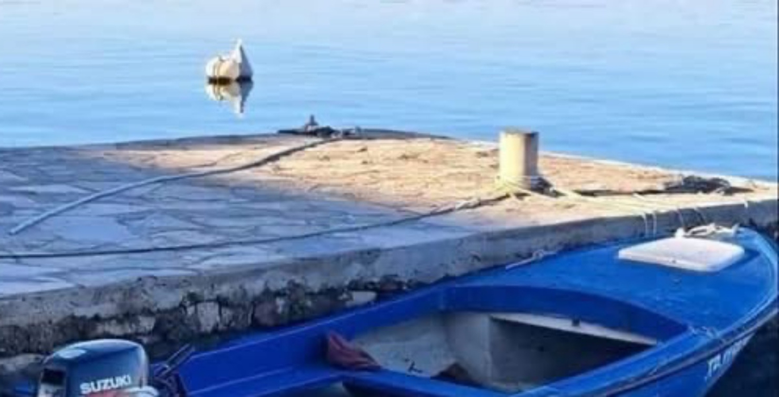 Dalmatinac je barci nadjenuo bizarno ime, odmah ćete se zapitati koja se priča krije iza njega