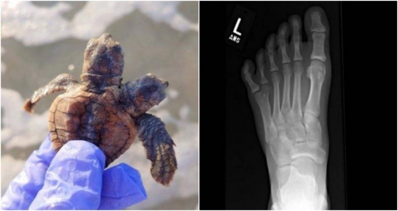 15 upečatljivih i rijetkih prizora koje nećete tako lako zaboraviti