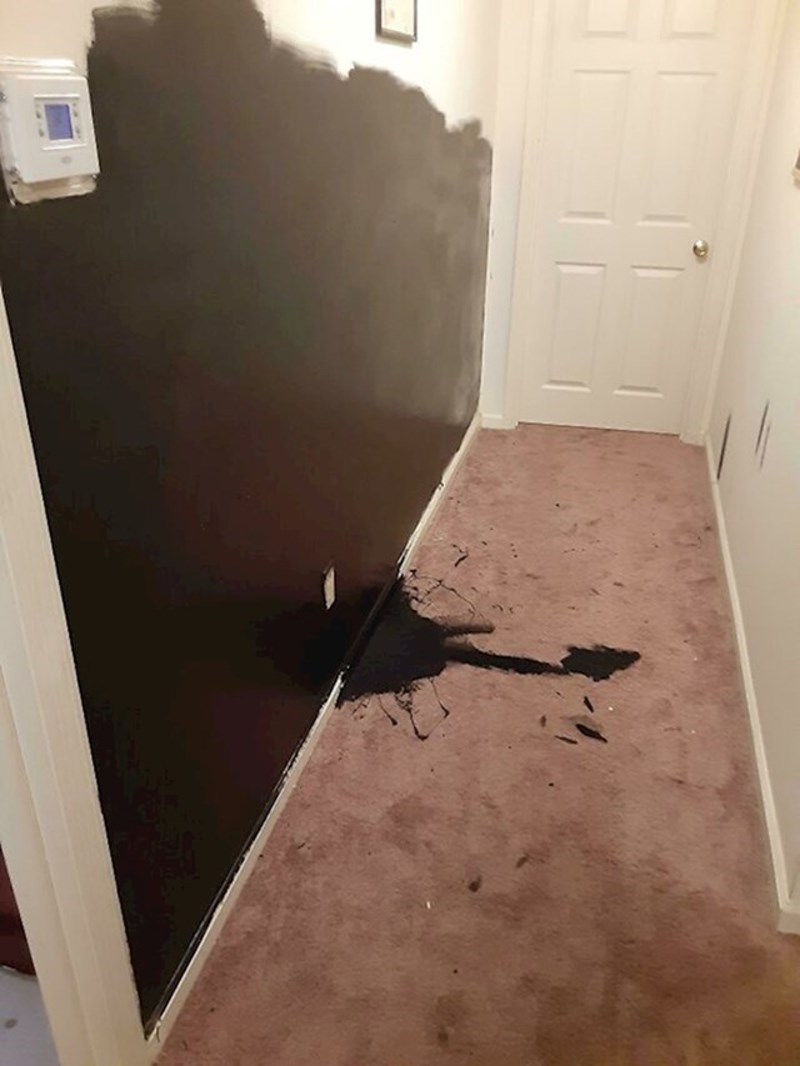 12. Učinio je uslugu roditeljima i napkon osvježio zidove novom bojom.🤣