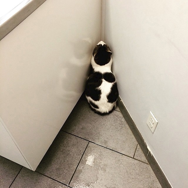 18.