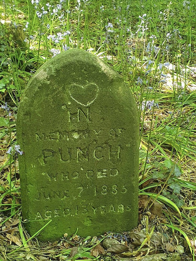 11. Grob nečijeg voljenog psa koji je uginuo davne 1885. godine
