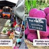 15 posebnih stvari i situacija koje možete doživjeti samo ako posjetite Tajland