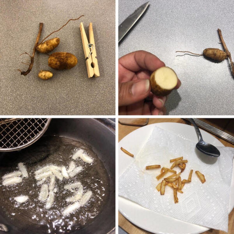 14. I ova je osoba cijelo ljeto uzgajala krumpire da bi dobila - ovo