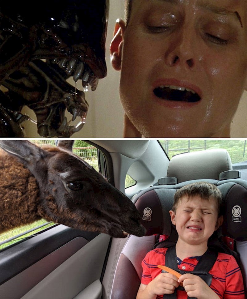 3. Moj sin na svom rođendanskom safariju na koji je sam htio🤣