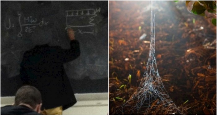20+ fascinantnih slučajnosti u koje nitko ne bi povjerovao da nema ovih fotki kao dokaza