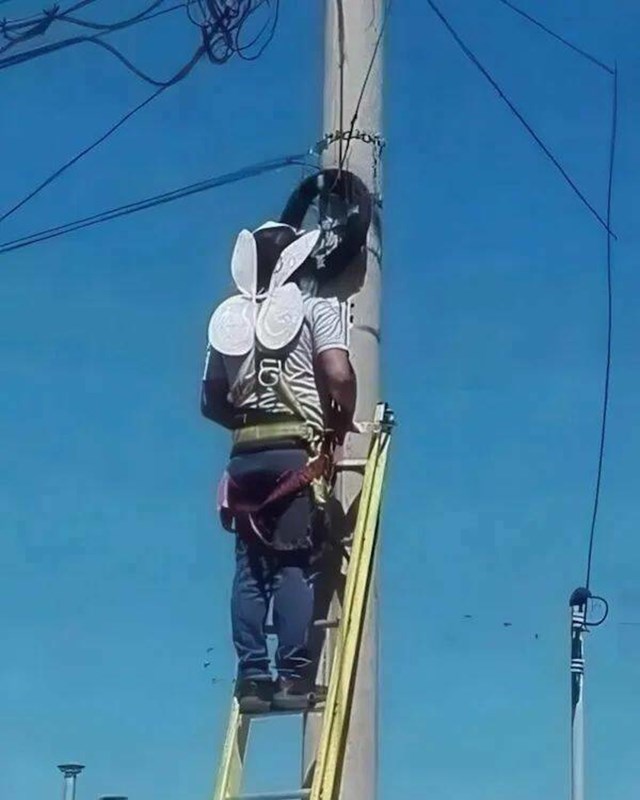 14.