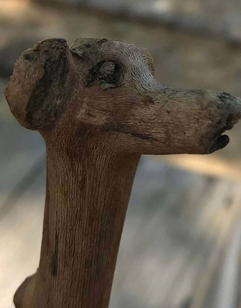 9. Štap koji izgleda poput psa