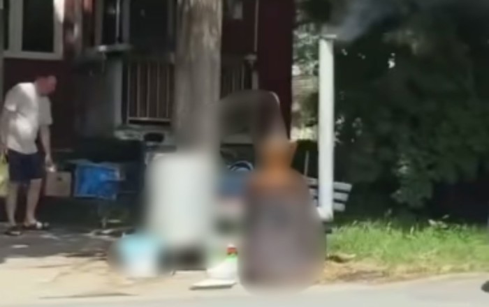 Snimka iz Srbije obišla je cijeli Balkan, morate vidjeti čime se tip mrtav hladan bavi pred zgradom