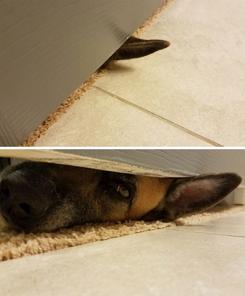 5. Svaki put ista priča kad se kupam...