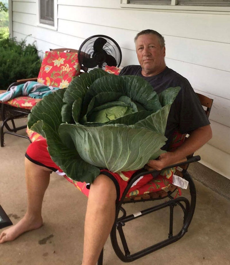 6. Moj tata zna kako uzgojiti kupus