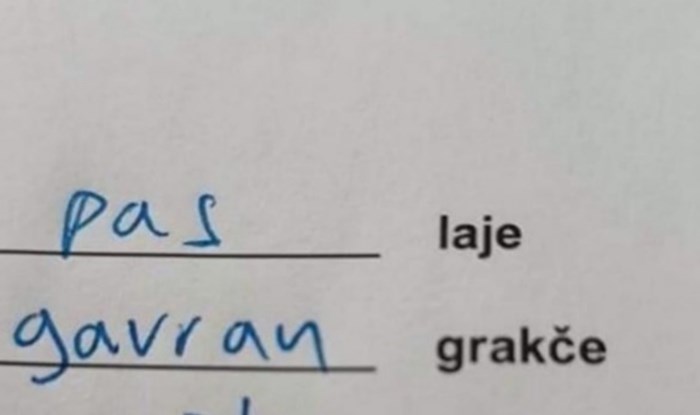 Odgovor iz nečijeg školskog zadatka nasmijao je cijelu Hrvatsku, odmah ćete vidjeti zašto