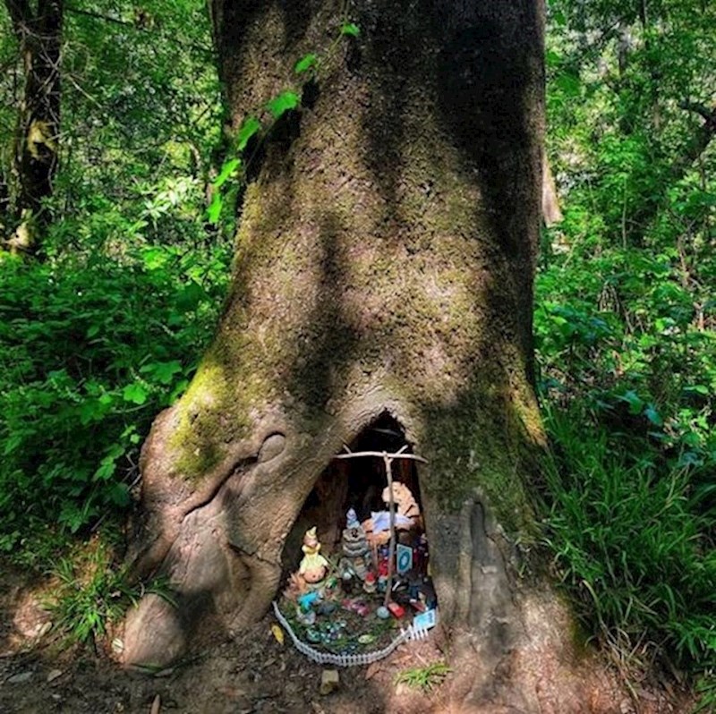 16. "Slučajno sam naišla na ovo dok sam šetala psa. Mislim da ću sutra dodati nešto."