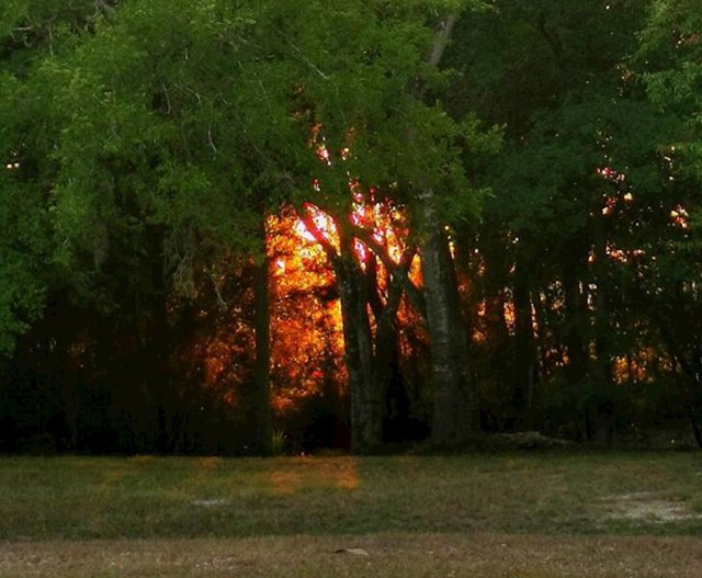 10. Zalazak sunca izgleda kao šumski požar