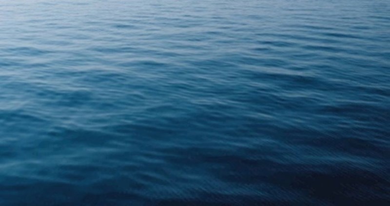 Djevojci je upao mobitel u ocean, ostat ćete potpuno zapanjeni kad vidite tko joj ga je vratio