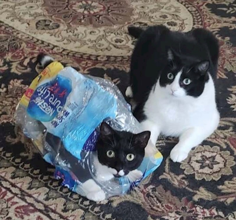 10. Braco je tu za emocionalnu podršku