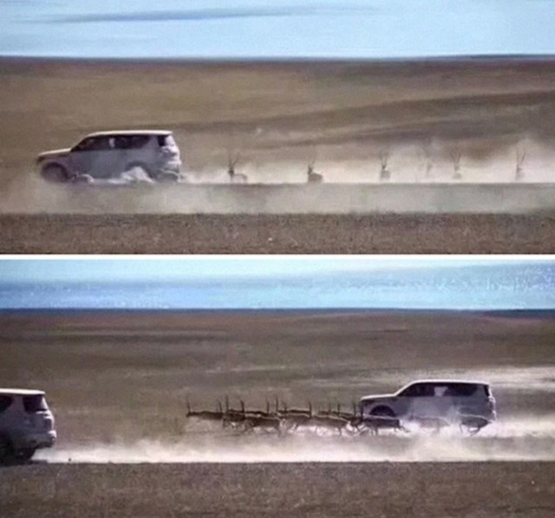 Turisti proganjaju ugrožene tibetanske antilope zbog fotografija i dobivaju novčane kazne