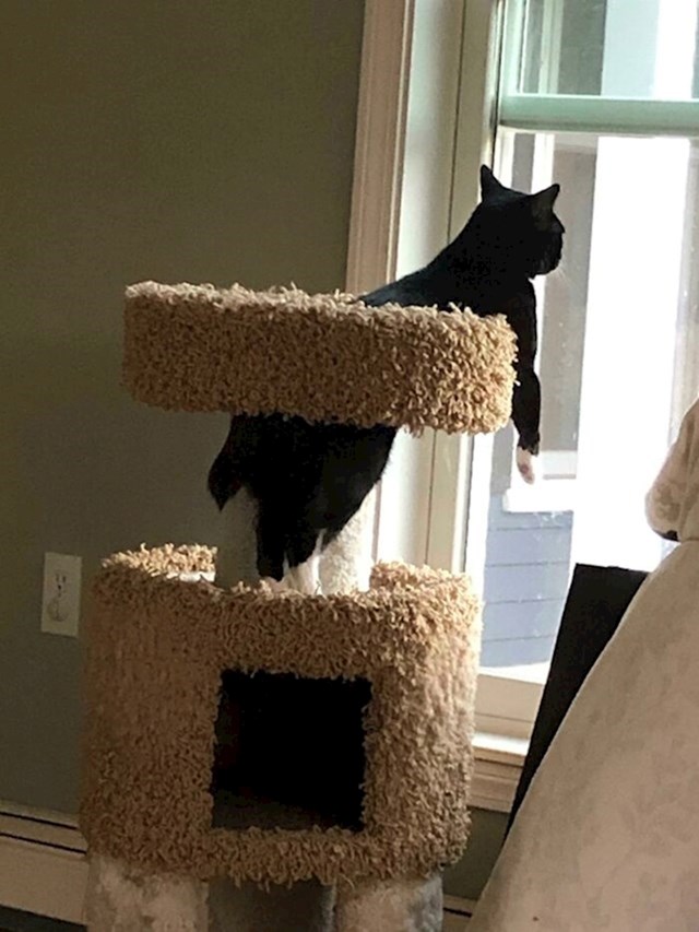 3.