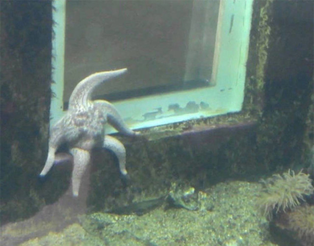 8.