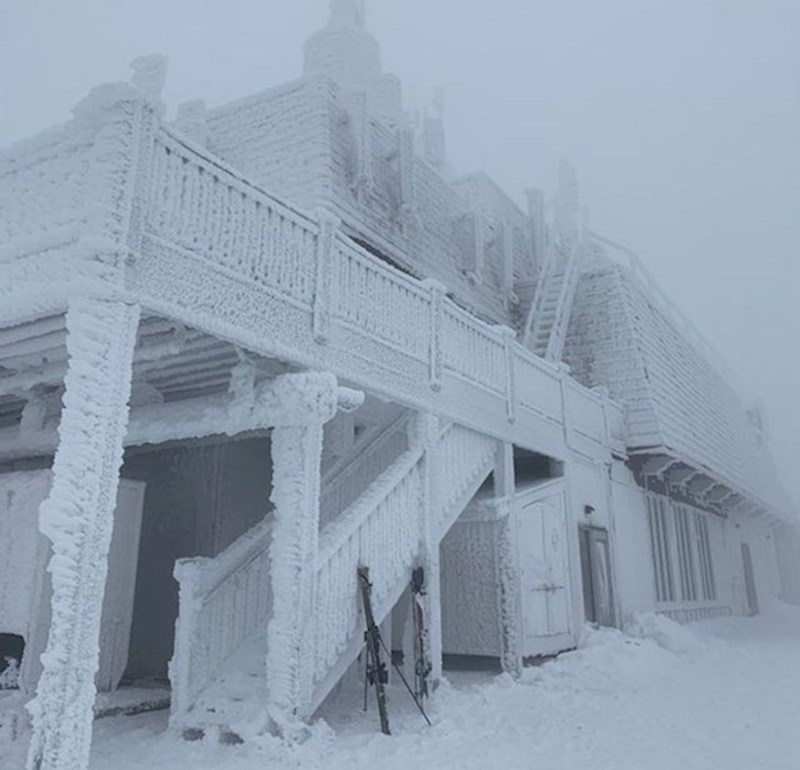 14. Prizor na koji možete naići ako odete na skijanje u Kanadu