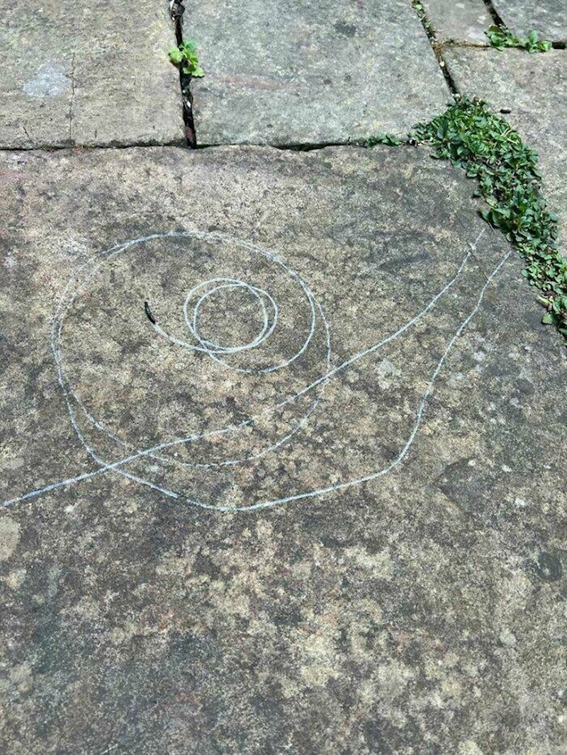 9. Puž golač je nacrtao puža s kućicom