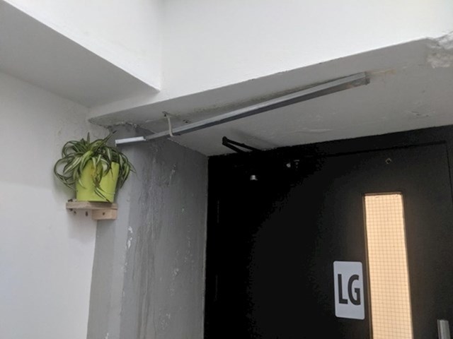 3. Netko je na poslu primijetio da strop ima rupu. Umjesto da je zatvore, odlučili su namjesti jedan metalni dio tako da kapljice vode zalijevaju biljku.