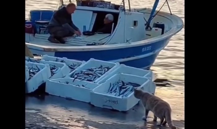 Prizor koji je netko snimio negdje u Dalmaciji oduševio je ljude na Fejsu, odmah ćete vidjeti zašto