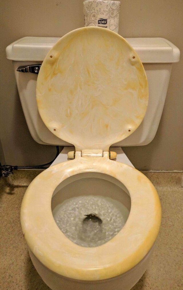 11. Moja baka kupila je novu dasku za wc