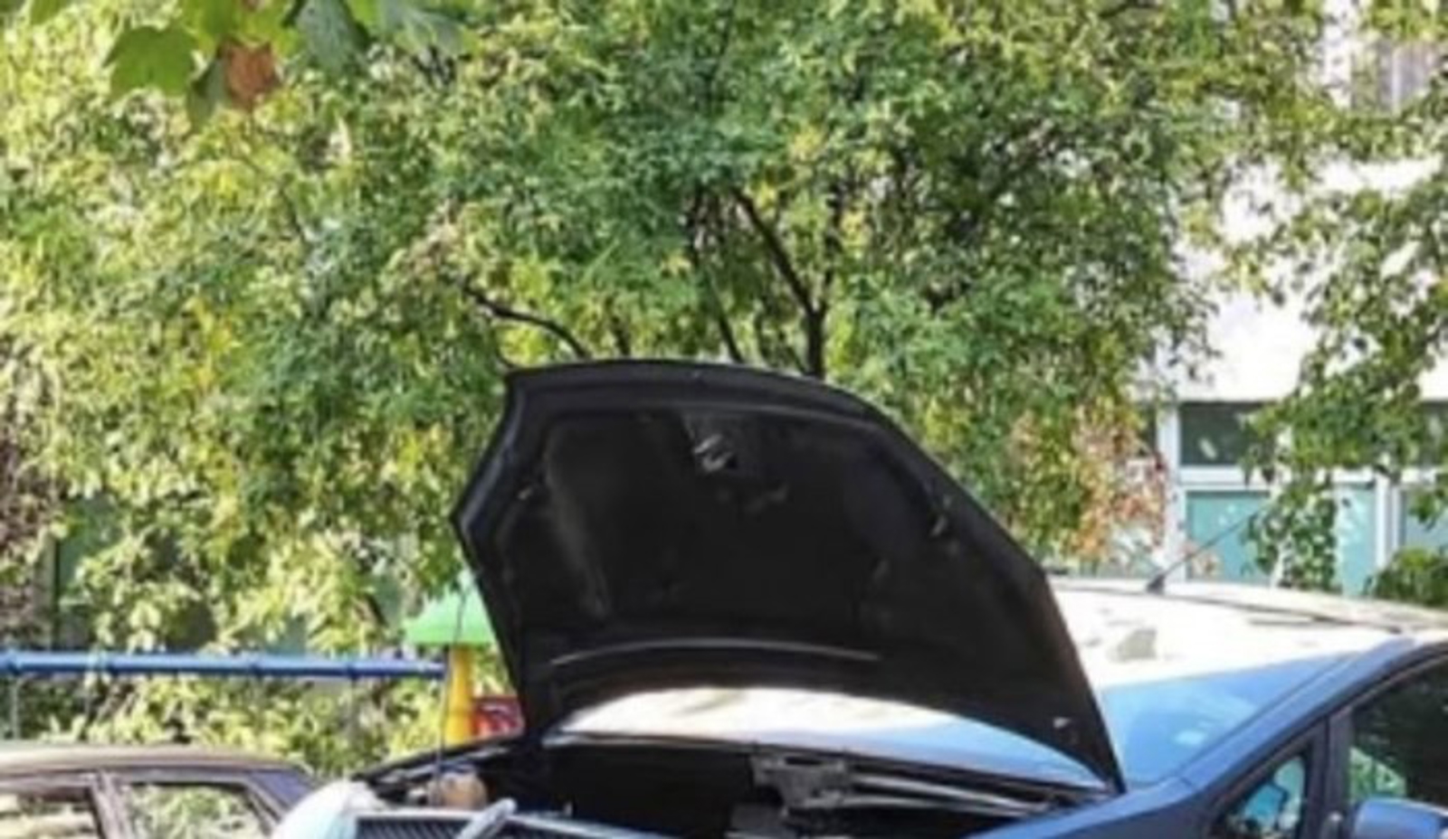 Tip je ispred automehaničarske radione snimio bizaran prizor, fotka je nasmijala cijelu regiju
