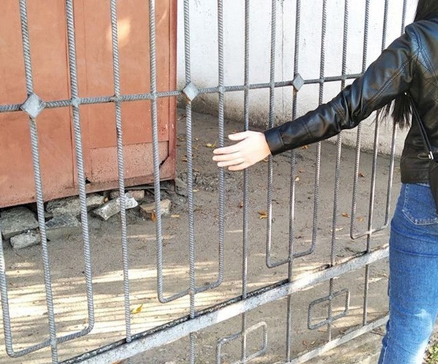 7. Prolazili rukom kroz rešetke