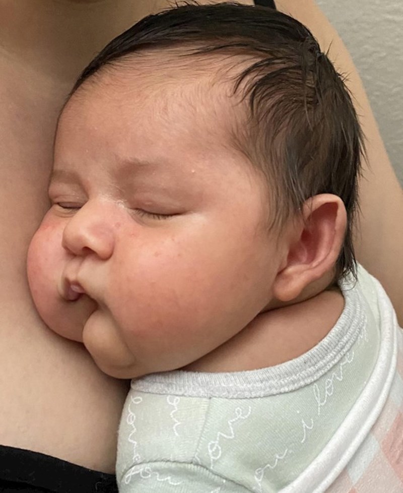 15. Koji obrašćići, buci-buuuu