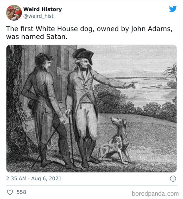35. Satan, pas iz Bijele kuće