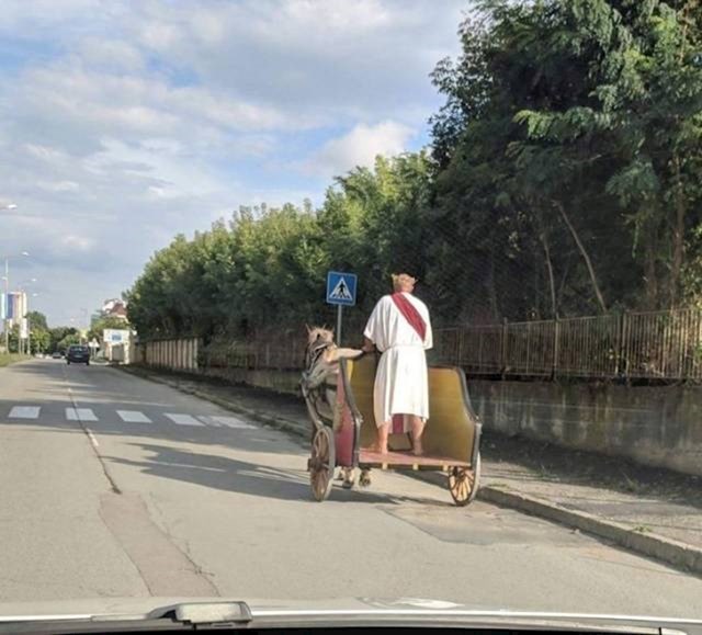 19. A ovaj vremenski putnik, očito zalutao iz doba starog Rima, snimljen je negdje u Dalmaciji.